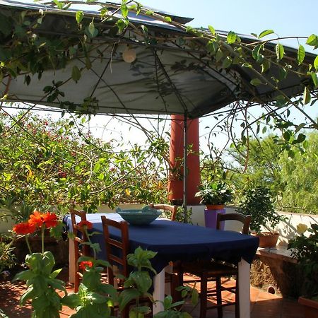 Casa Terranova Bed & Breakfast Isola di Ustica Eksteriør bilde