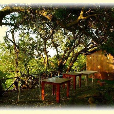 Casa Terranova Bed & Breakfast Isola di Ustica Eksteriør bilde