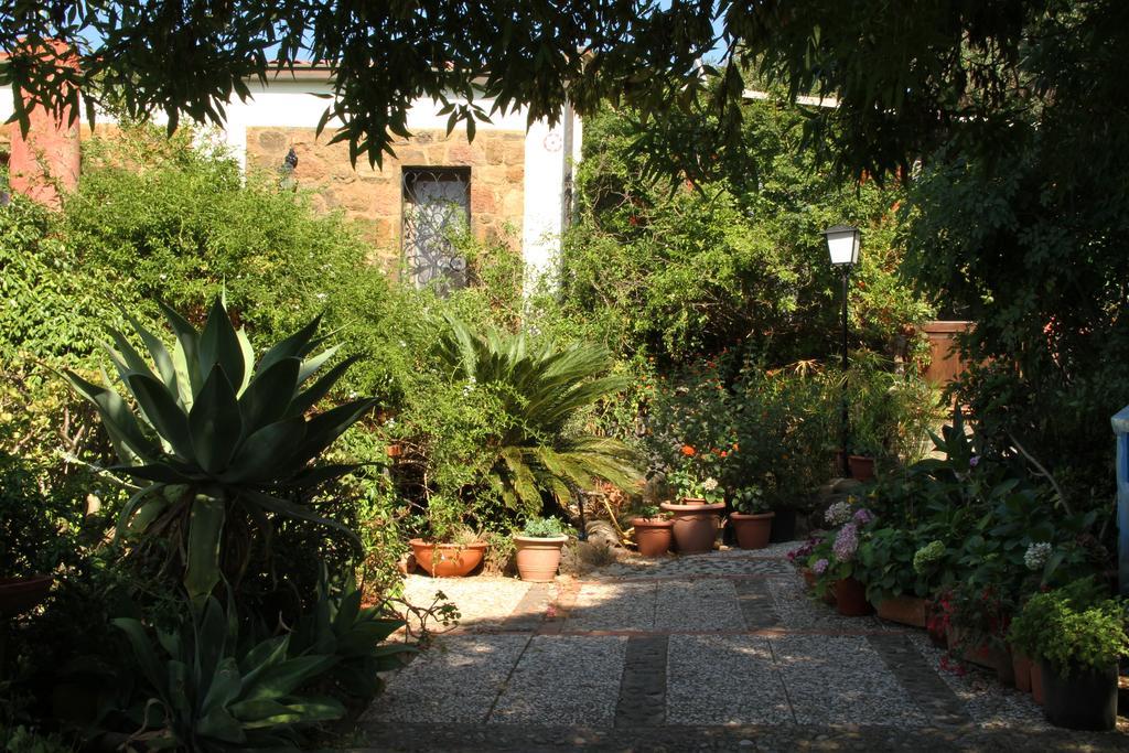 Casa Terranova Bed & Breakfast Isola di Ustica Eksteriør bilde