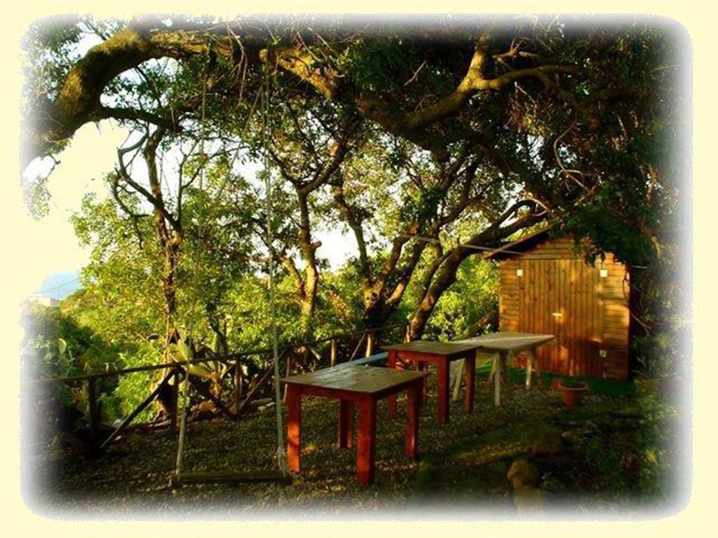 Casa Terranova Bed & Breakfast Isola di Ustica Eksteriør bilde